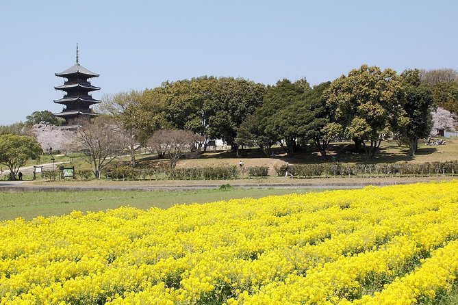 Okayama Custom Half Day Tour - Pricing and Guarantee