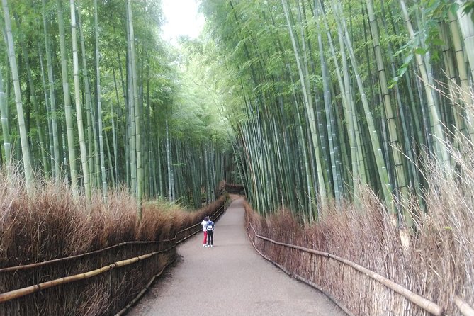 Kyoto Lazy Bird Tour - Arashiyama Bamboo Grove