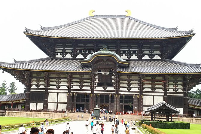 One-Day Tour of Amazing 8th Century Capital Nara - Tour Details