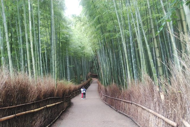 Private Full-Day Tour: Kyoto's Arashiyama and Kinkakuji Temple 2024 - Reviews From Viator Travelers