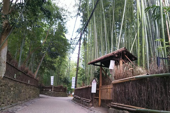One Day Tour : Enjoy Kyoto to the Fullest! - Frequently Asked Questions