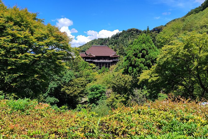 Hike Through Kyotos Best Tourist Spots - Philosophers Path
