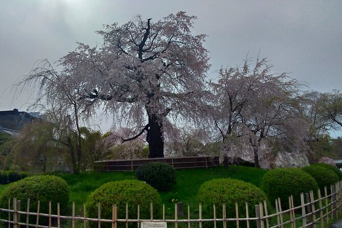 Traditional Kyoto Full-Day Bike Tour and Optional Sake Tasting - Directions