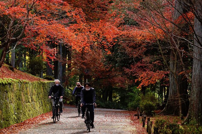 Traditional Kyoto Full-Day Bike Tour and Optional Sake Tasting - Cancellation Policy