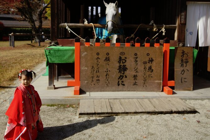 Traditional Kyoto Full-Day Bike Tour and Optional Sake Tasting - Reviews and Contact Information