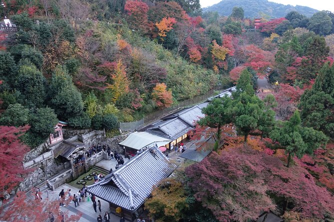 The Original Early Bird Tour of Kyoto. - Start and End Points