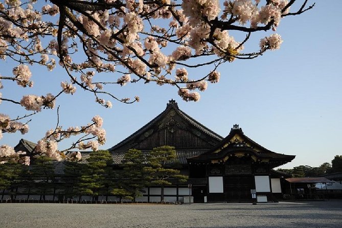Kyoto in One Day Tour With Nijo Castle and Kiyomizu Temple - Discovering the Majesty of Nijo Castle and Kiyomizu Temple