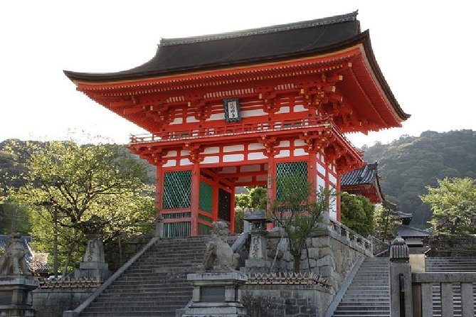Kyoto Afternoon Tour - Fushimiinari Shrine & Kiyomizu Temple From Kyoto - Tour Guide and Organization