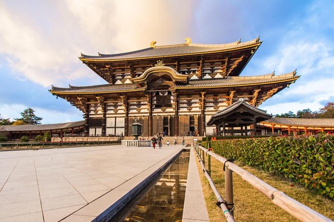 Nara Afternoon Tour - Todaiji Temple and Deer Park From Kyoto - The Magnificent Todaiji Temple