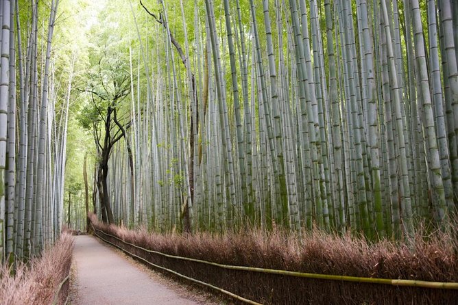 Kyoto Arashiyama & Sagano Walking Food Tour - Exploring the Historical Districts of Arashiyama and Sagano