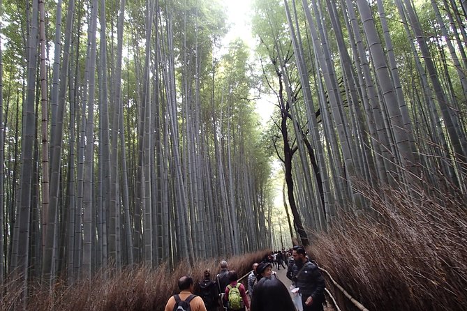 Private 1 Day Kyoto Tour Including Arashiyama Bamboo Grove and Golden Pavillion - Tour Highlights