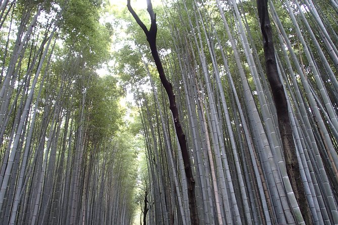 Private 1 Day Kyoto Tour Including Arashiyama Bamboo Grove and Golden Pavillion - Frequently Asked Questions