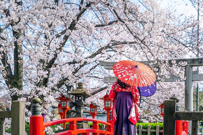 Private Customized 3 Full Days Tour Package: Discover Kyoto, Arashiyama and Nara - The Sum Up