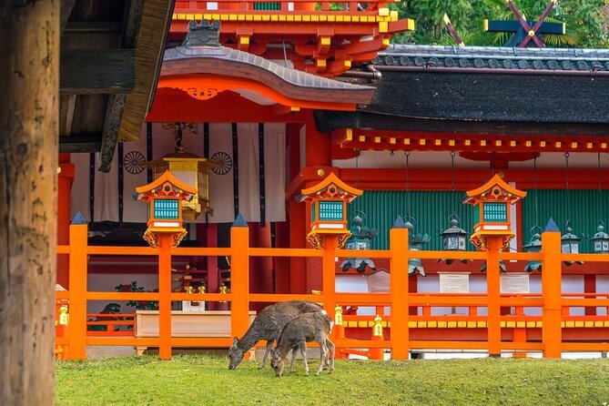 Explore the Best Spots of Arashiyama / Nara in a One Day Private Tour From Kyoto - Kasuga Taisha Shrine