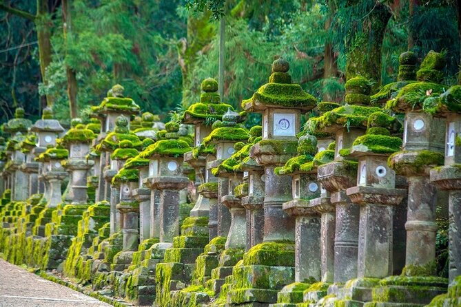 Explore the Best Spots of Arashiyama / Nara in a One Day Private Tour From Kyoto - Nara Park