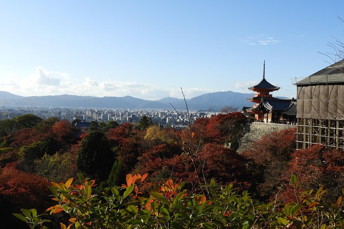 Kyoto Full Day (8 Hours) Sightseeing Privatetour - Frequently Asked Questions