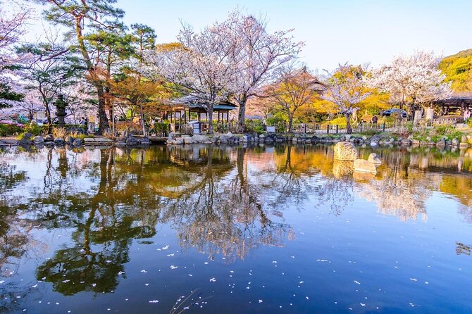 Private & Unique Kyoto Cherry Blossom "Sakura" Experience - Sakura Season in Kyoto