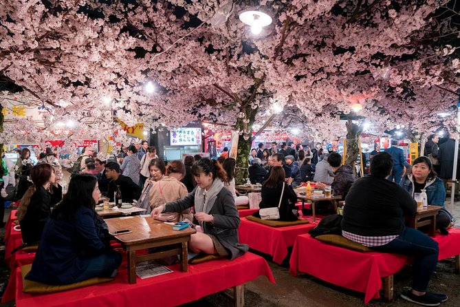 Private & Unique Kyoto Cherry Blossom "Sakura" Experience - Reviews by Viator Travelers