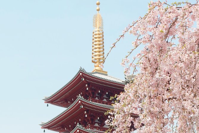 Private & Unique Kyoto Cherry Blossom "Sakura" Experience - Pricing and Additional Information