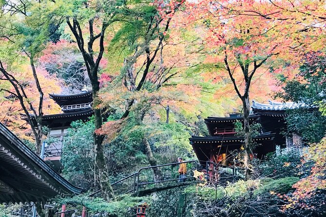 Private Walking Tour in Bamboo Forest & Hidden Spots in Arashiyama - Unforgettable Moments in Arashiyamas Bamboo Wonderland