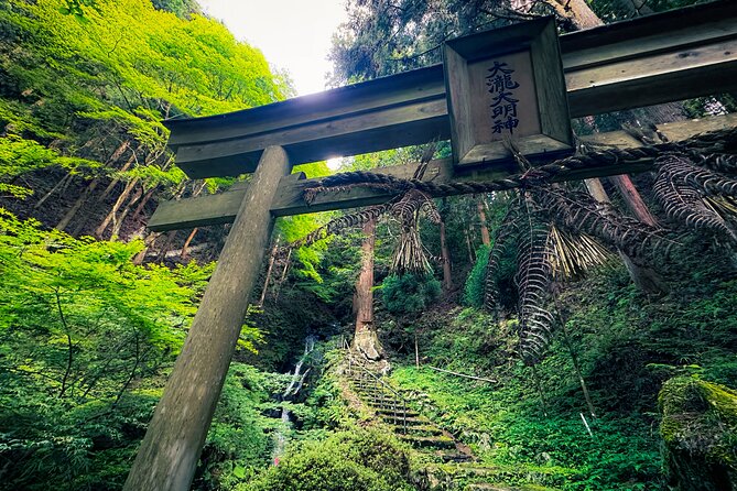 Green Tea Fields, Serene Beautiful Nature of Kyoto: Private Tour - Traveler Photos