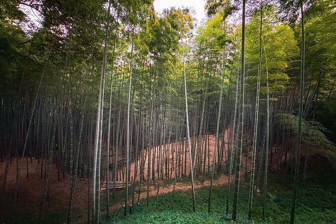 Green Tea Fields, Serene Beautiful Nature of Kyoto: Private Tour - Frequently Asked Questions