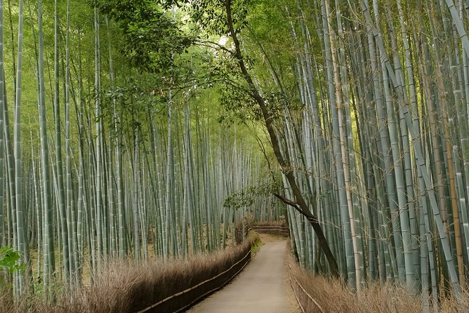 Kyoto Bamboo Forest Electric Bike Tour - Frequently Asked Questions