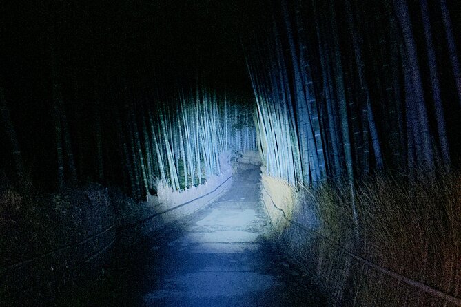 Ghost Hunting in the Bamboo Forest - Arashiyama Kyoto at Night - Bamboo Forest: A Hauntingly Beautiful Setting