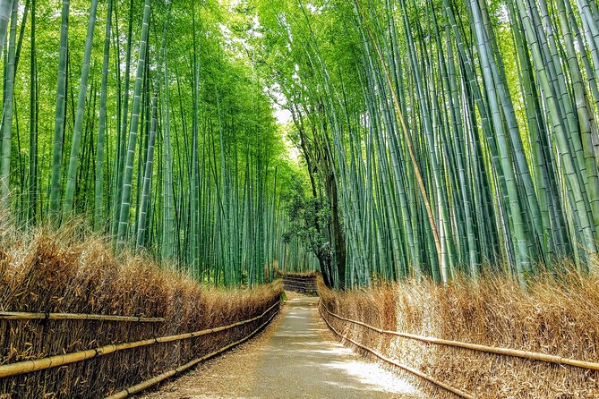 Private Arashiyama Walking Tour: Bamboo, Monkeys & Secrets - Tips for a Memorable Arashiyama Walking Tour