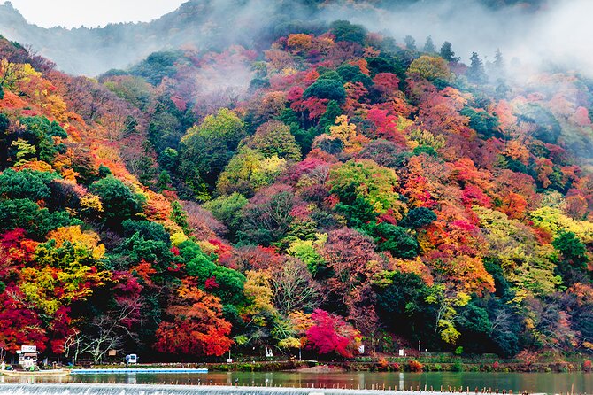 Private Arashiyama Walking Tour: Bamboo, Monkeys & Secrets - The Sum Up