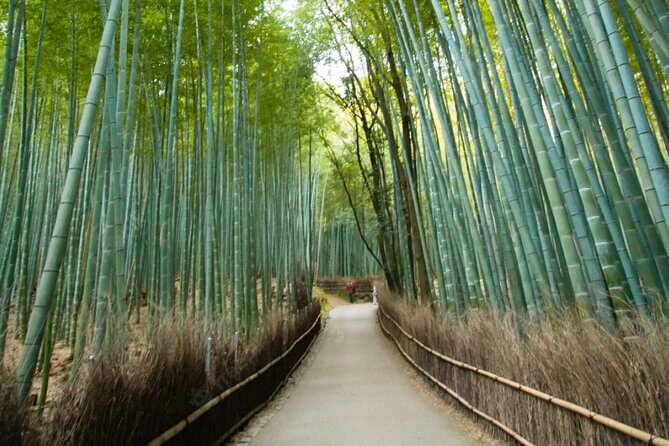 Private Arashiyama Walking Tour: Bamboo, Monkeys & Secrets - Uncovering the Hidden Secrets of Arashiyama