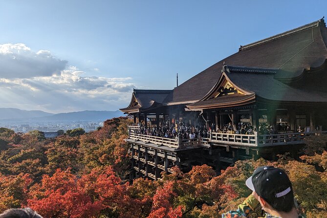 Tour in Kyoto With a Goverment Certified Tour Guide - Benefits of Hiring a Government Certified Tour Guide