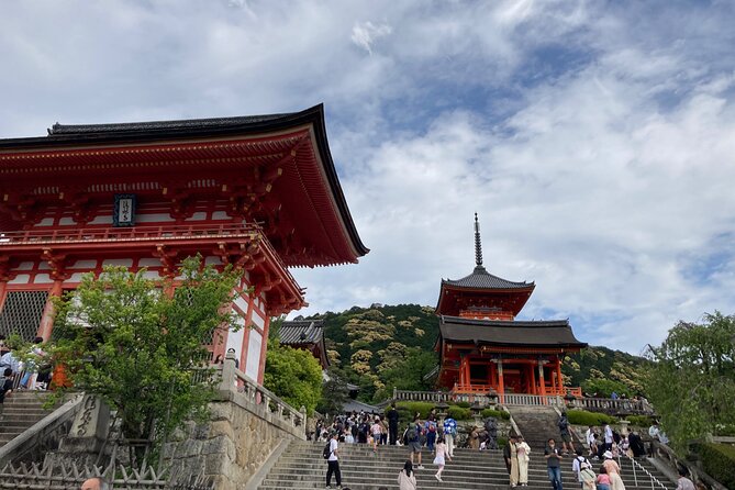 Kyoto Private Magical Tour With a Local Guide - Questions and Additional Information