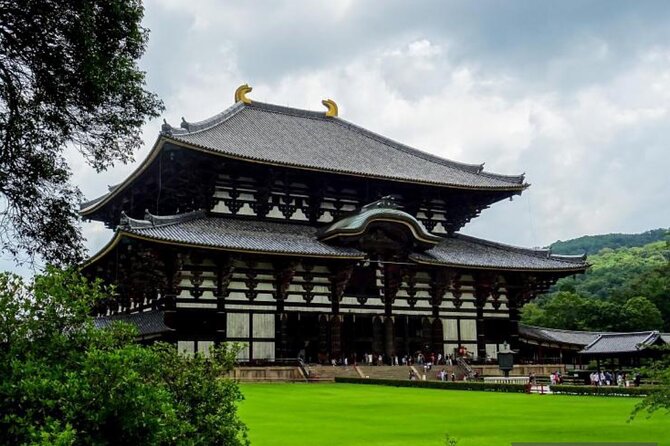 Private Tour Kyoto-Nara W/Hotel Pick up & Drop off From Kyoto - Contact Information