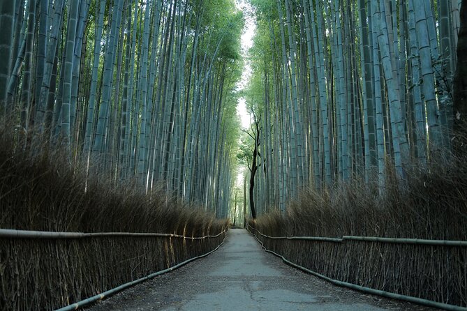 Kyoto Early Morning Tour With English Speaking Guide - Tour Overview