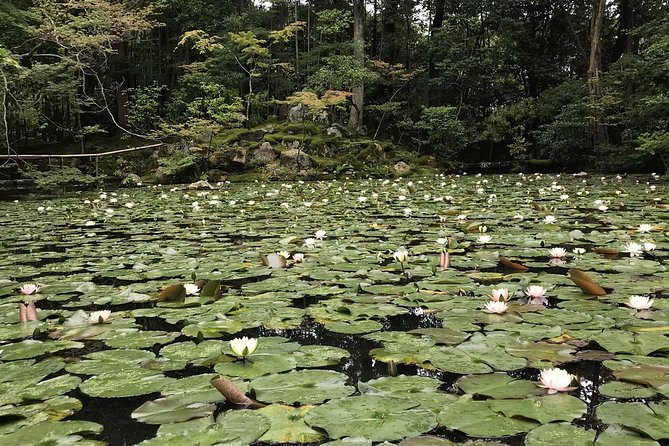 Kyoto: The Path Less Traveled (Private) - End Point and Address