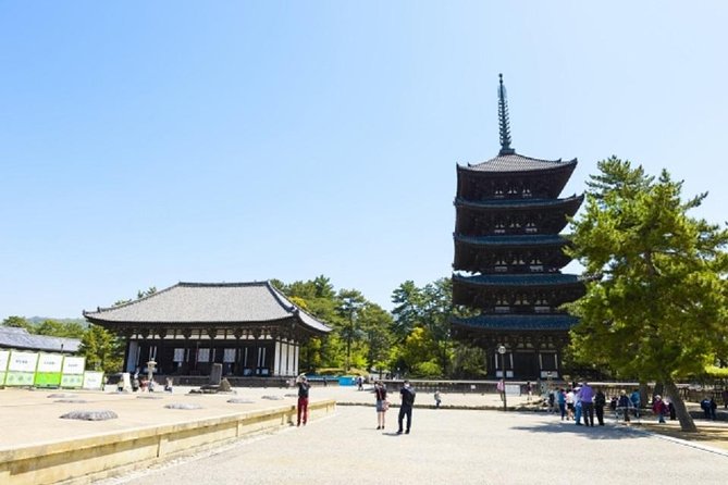 Nara Private Tour by Public Transportation From Osaka - Cancellation Policy