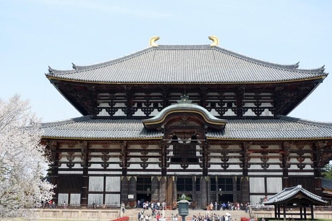 Nara Private Tour by Public Transportation From Osaka - Tour Overview