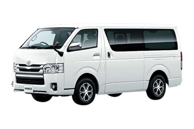 NARA Custom Tour With Private Car and Driver (Max 9 Pax) - Special Offer and Pricing