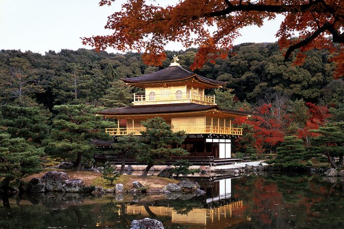 Day Trip to Kyoto From Osaka/Kyoto - Visiting the Iconic Fushimi Inari Taisha Shrine