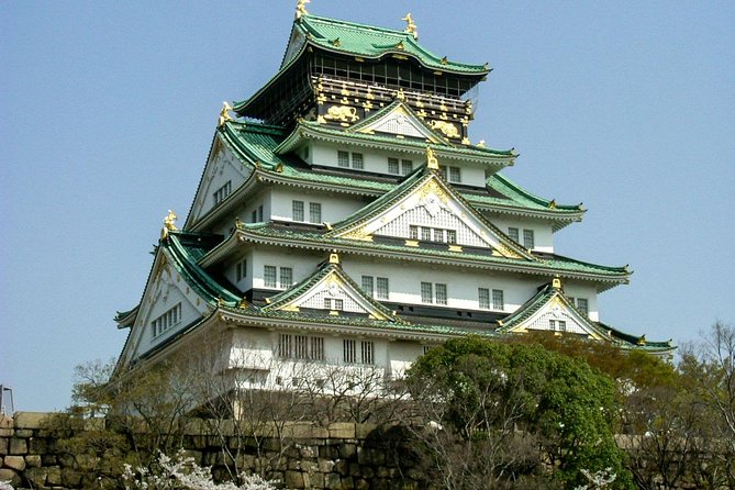 Osaka 1 Day Highlights Private Walking Tour - Pricing and Booking Details