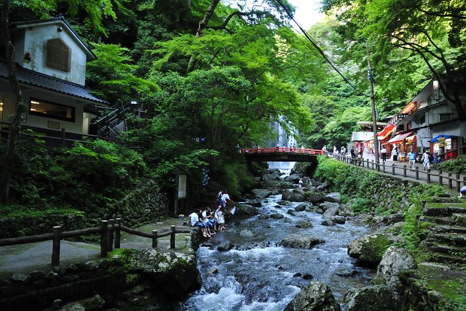 Nature Walk at Minoo Park, the Best Nature and Waterfall in Osaka - Recommended Fitness Level for the Nature Walk