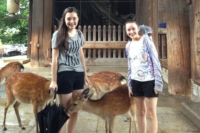 Nara Private Tour (Shore Excursion Available From Osaka or Kobe Port) - Tour Details