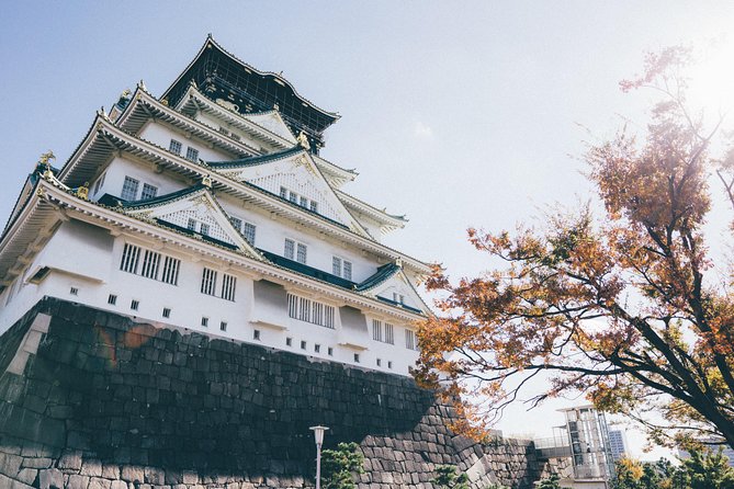 Osaka Private Tour: From Historic Tenma To Dōtonbori's Pop Culture - 8 Hours - Shinsaibashi Shopping Street: Retail Therapy in Osaka