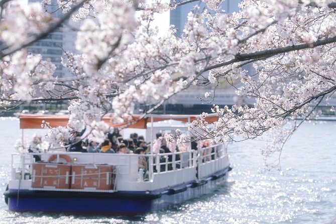 Osaka Cherry Blossom Tour With a Local: 100% Personalized Private - Price and Additional Information