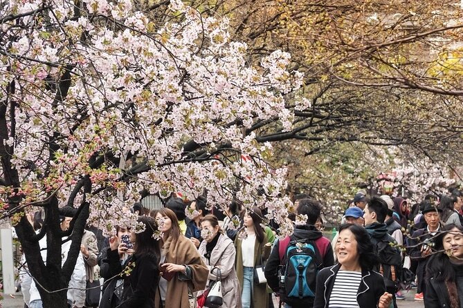 Osaka Cherry Blossom Tour With a Local: 100% Personalized Private - Frequently Asked Questions