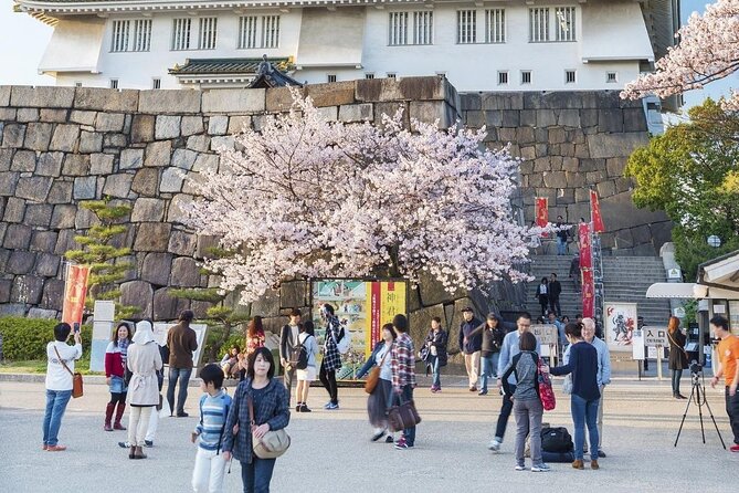 Osaka Cherry Blossom Tour With a Local: 100% Personalized Private - The Sum Up