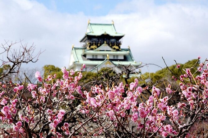 Osaka Cherry Blossom Tour With a Local: 100% Personalized Private - Reviews