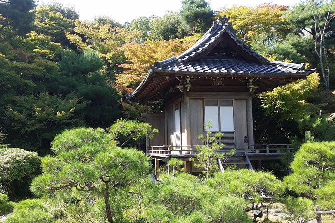 Kyoto : Immersive Arashiyama and Fushimi Inari by Private Vehicle - The Sum Up