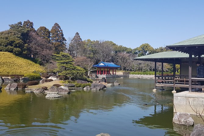 Private Car Full Day Tour of Osaka Temples, Gardens and Kofun Tombs - Unforgettable Experiences and Reviews: Customers Perspectives